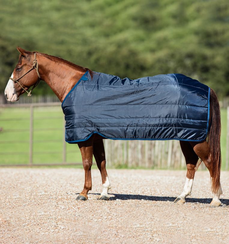 Sous-couverture (liner) 100g - Horseware
