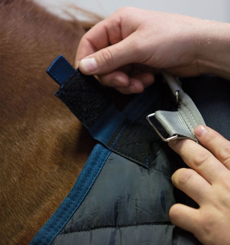 Sous-couverture (liner) 100g - Horseware