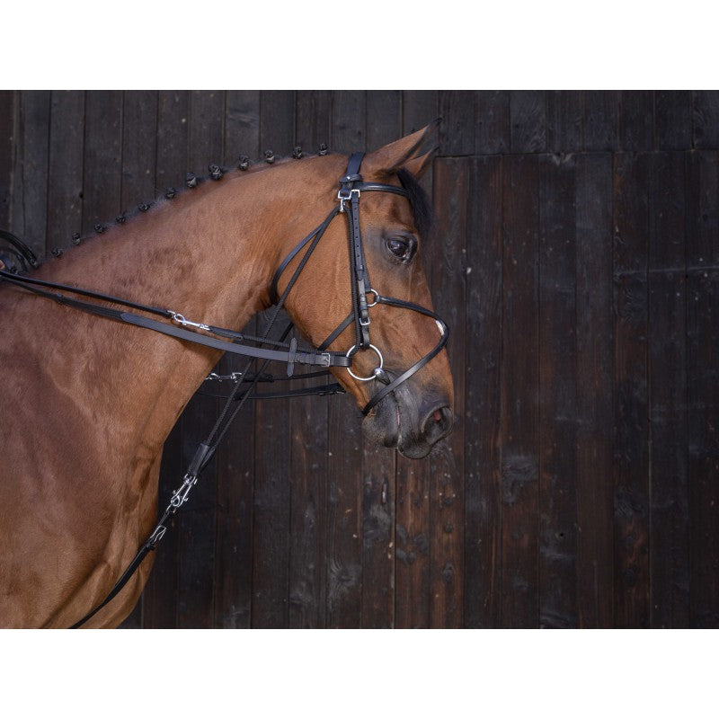 Rênes de gogue cuir - RIDING WORLD