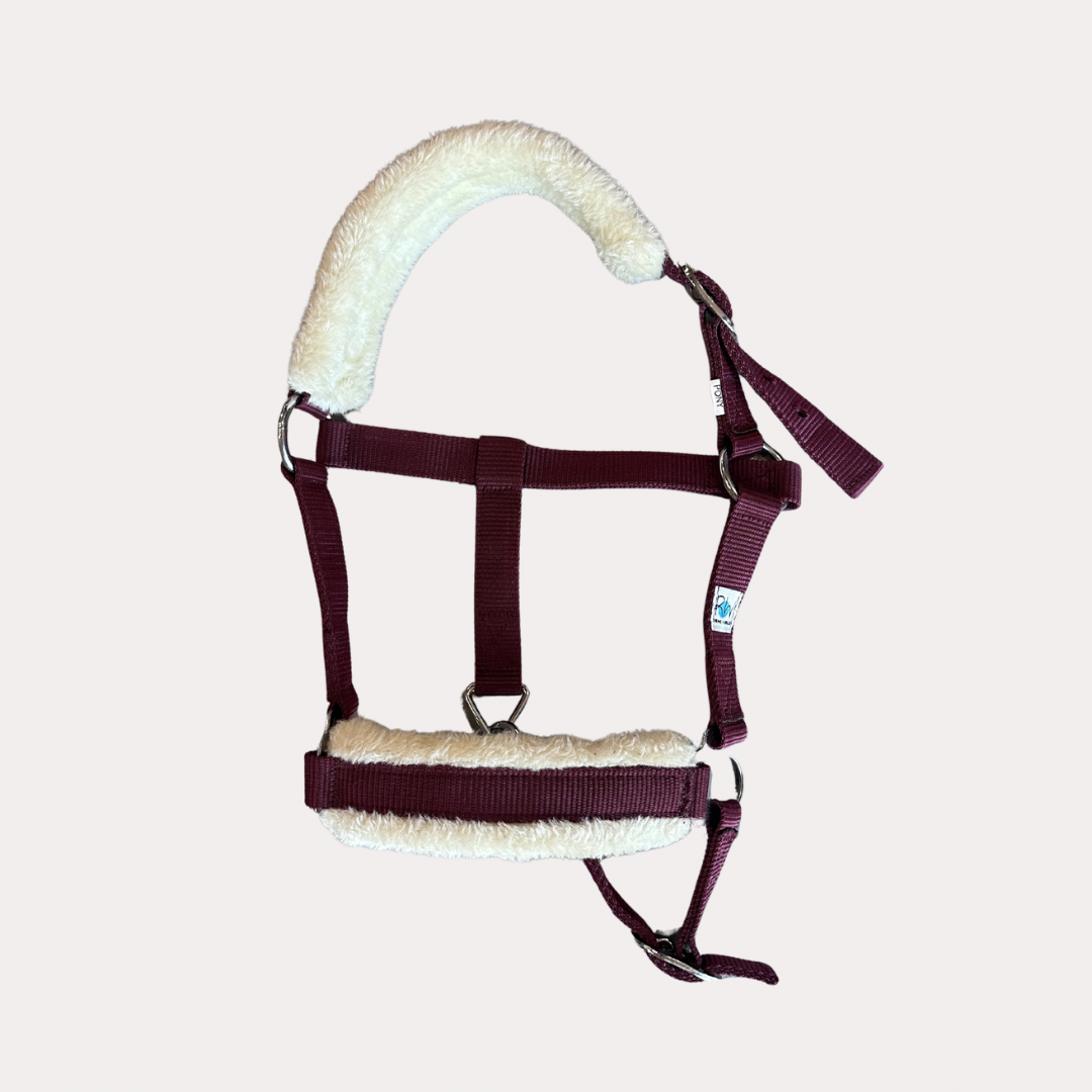 Licol RW poney Bordeaux