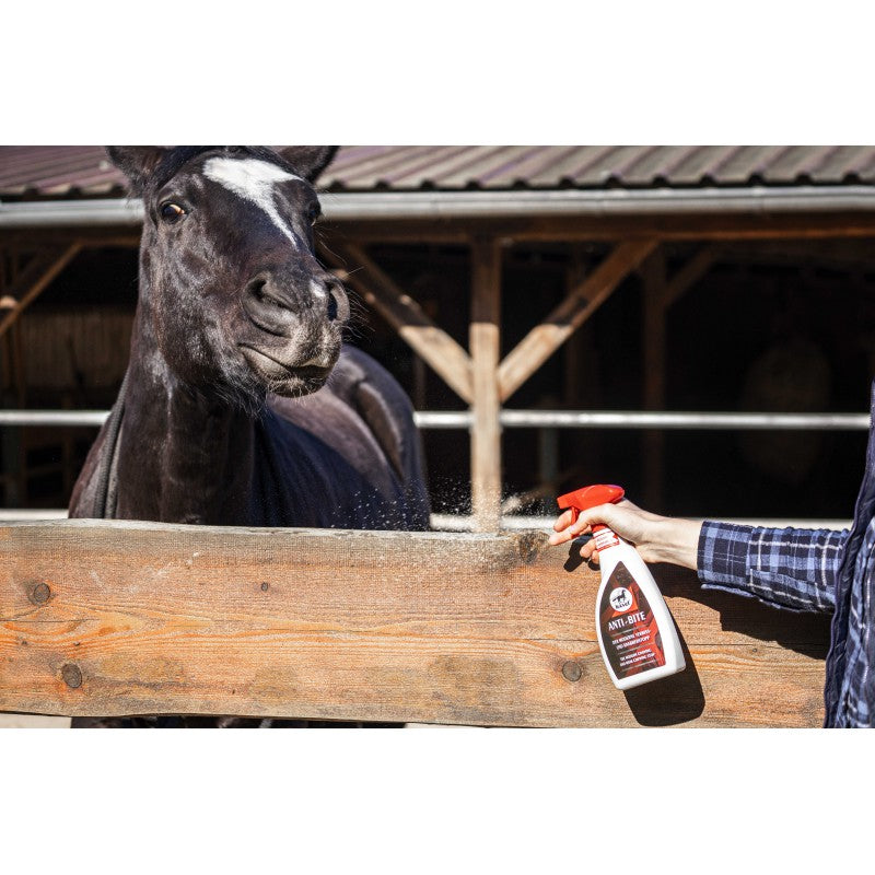 Spray anti-rongement - LEOVET