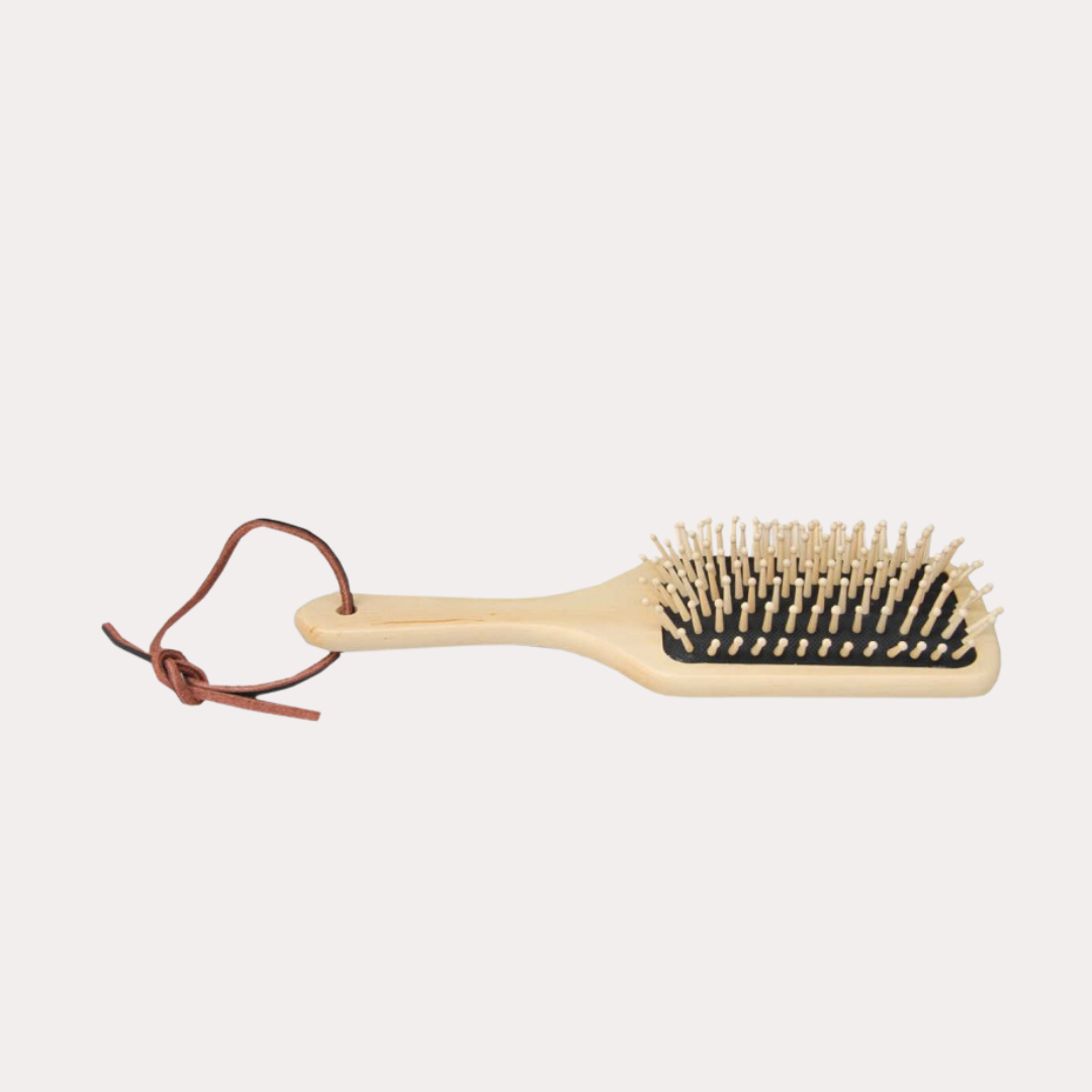 Brosse à crins - BORSTIQ