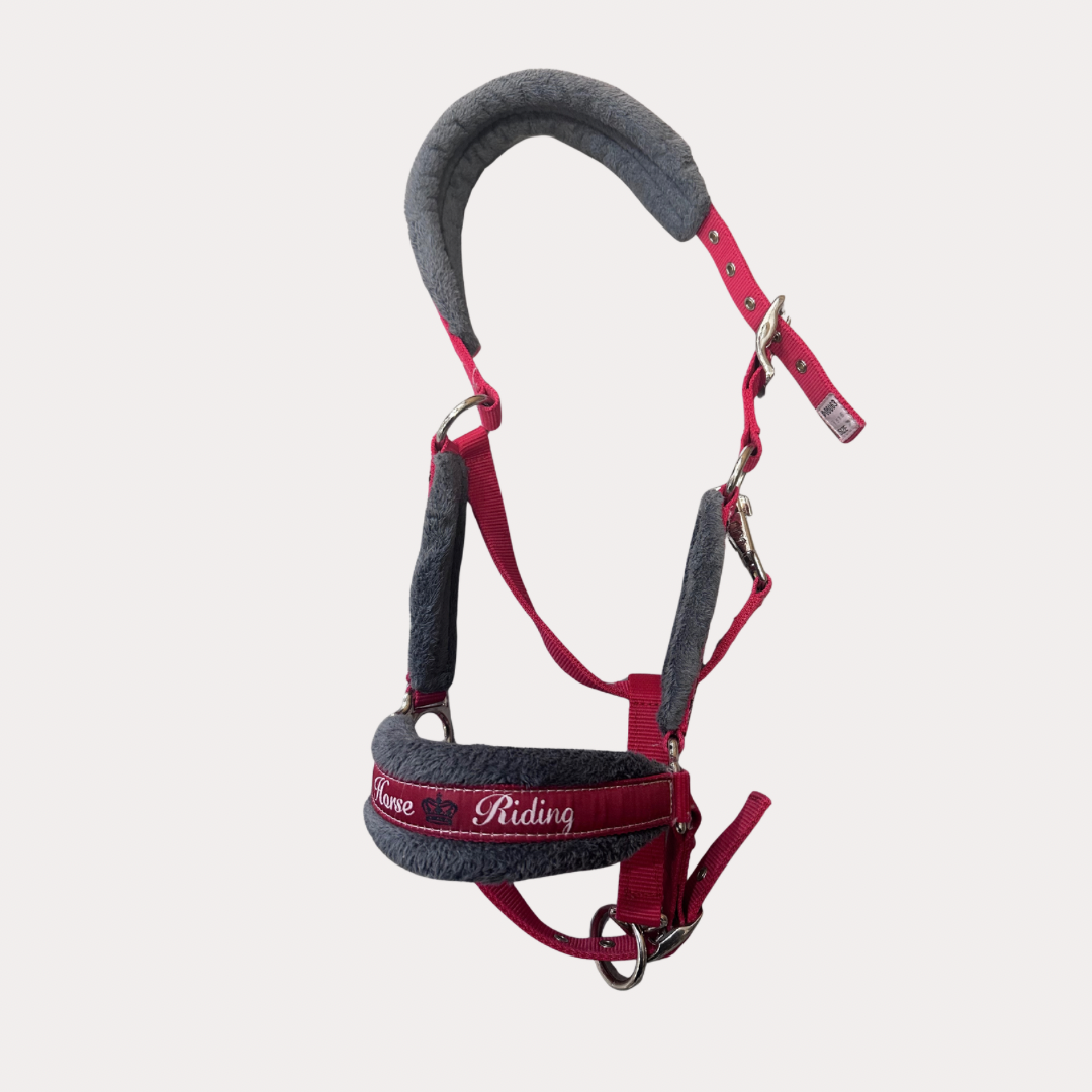 Licol rouge et gris full
