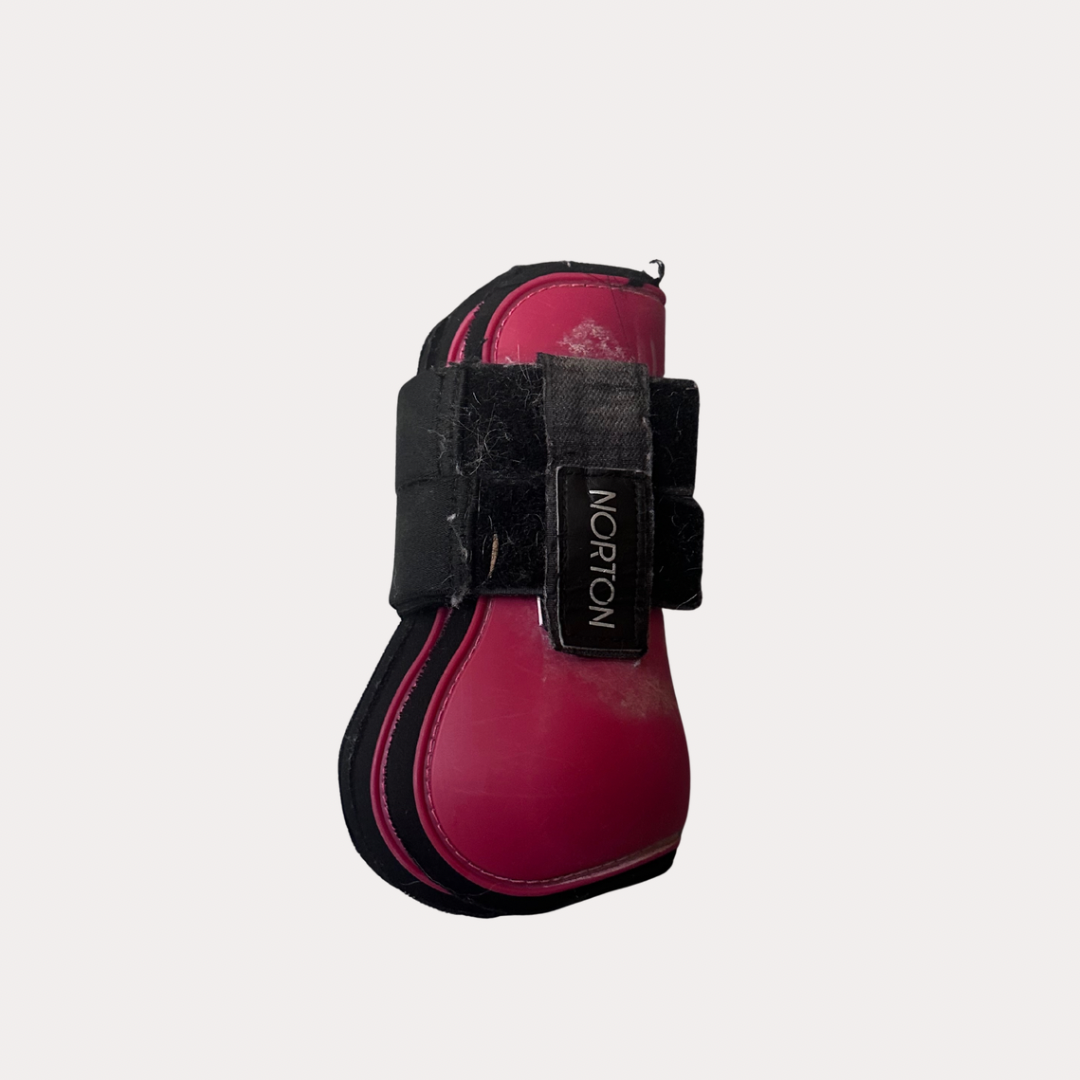 Protection poney Bordeaux