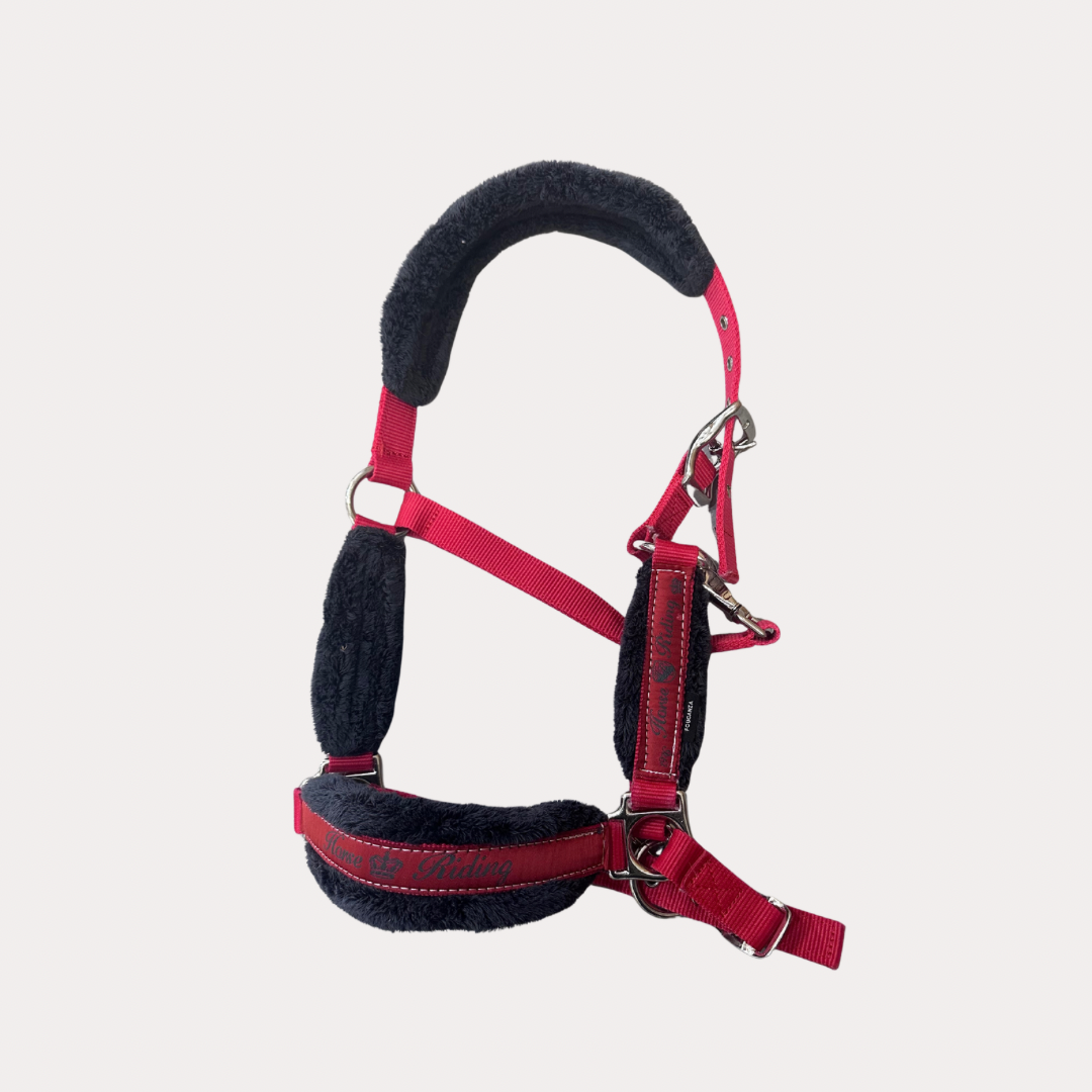 Licol rouge et gris full
