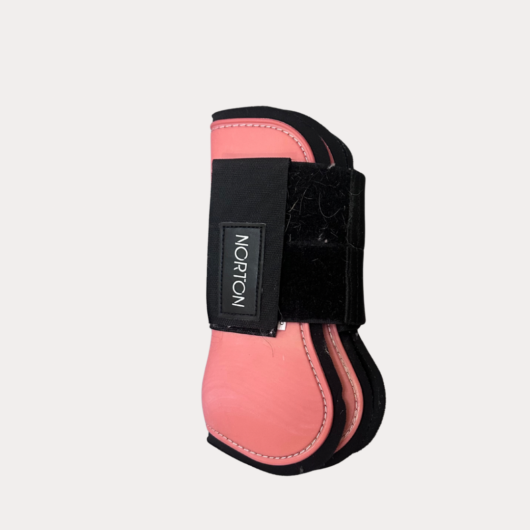 Protection COB rose