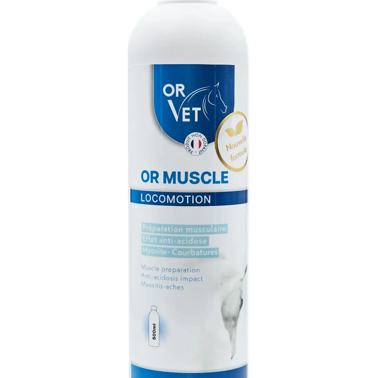Or muscle - OrVet