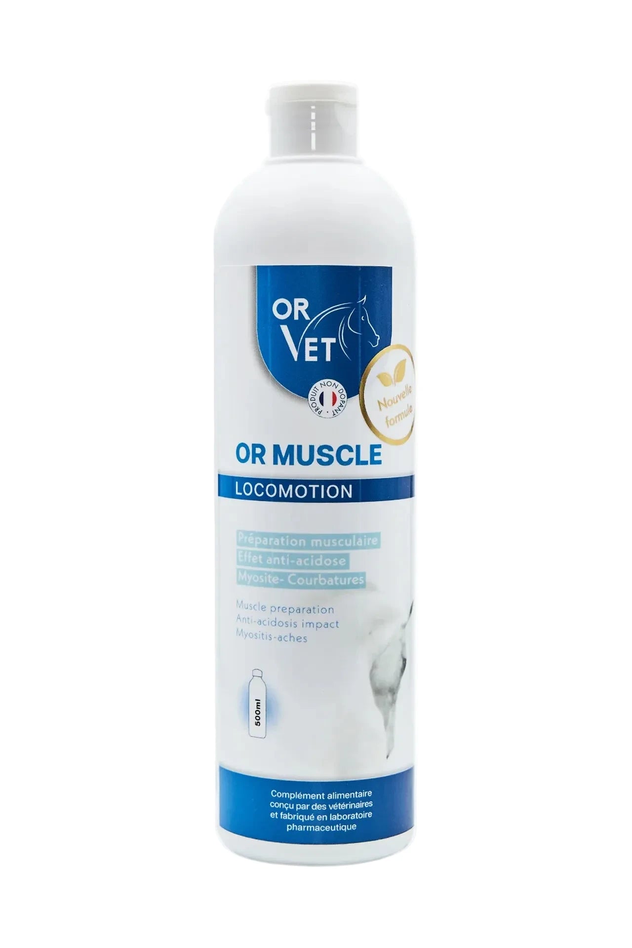 Or muscle - OrVet