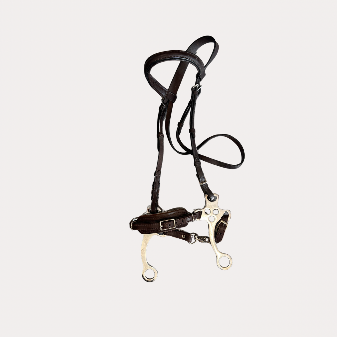 Bridon avec hackamore full marron