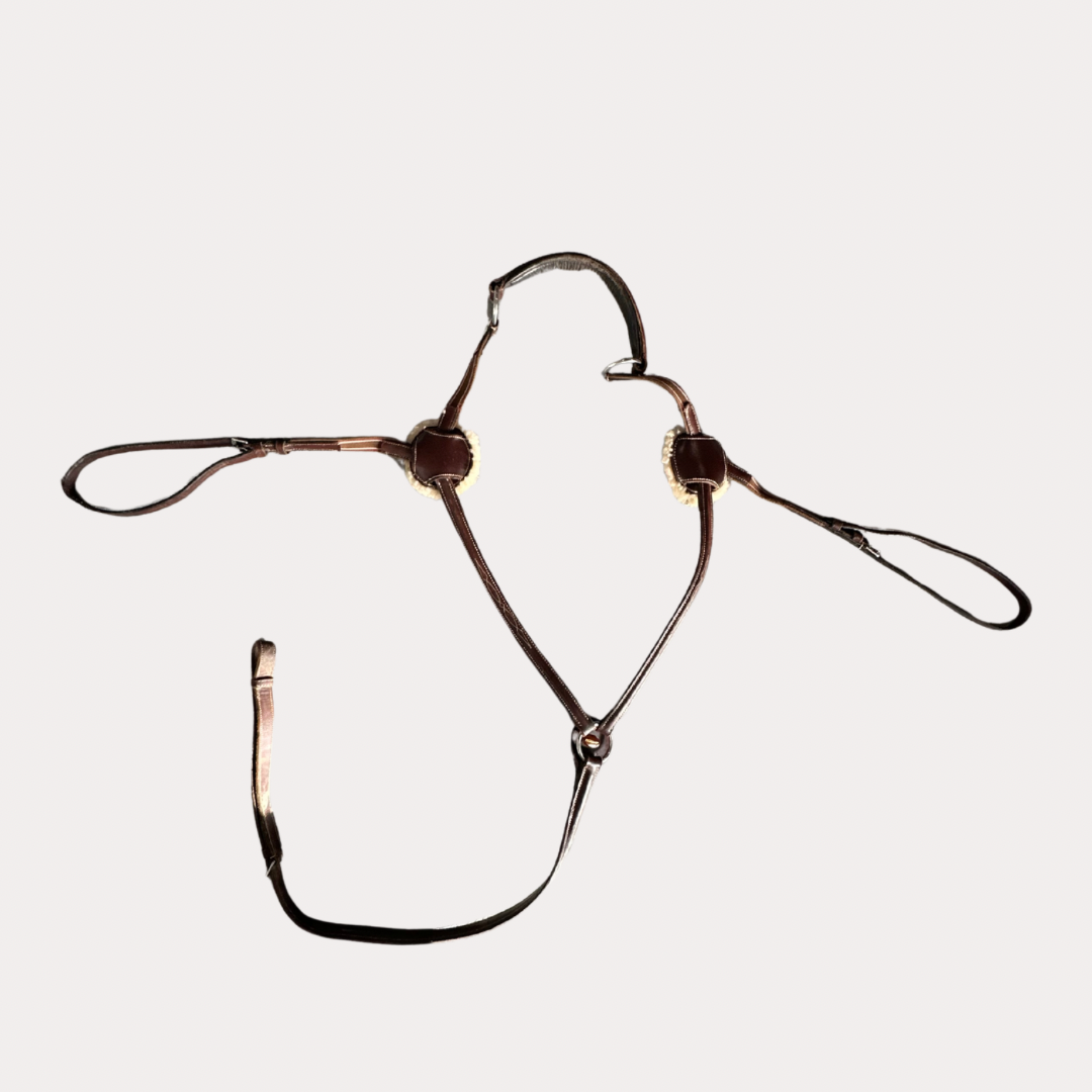 Collier de chasse marron