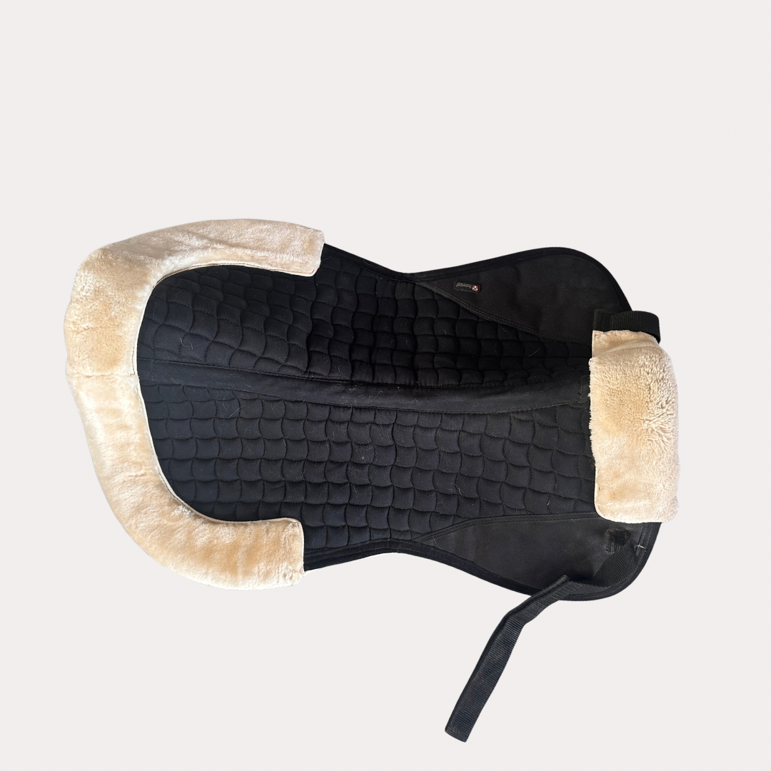 Amortisseur Horze