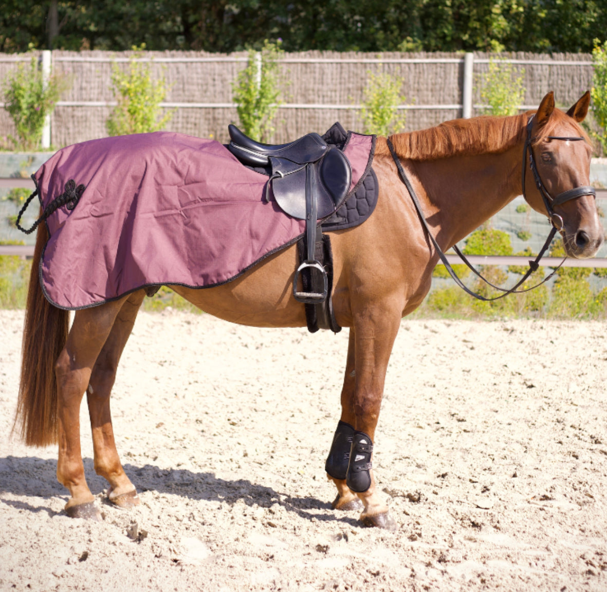 Couvre-reins ATAMIK prune - flags&cup