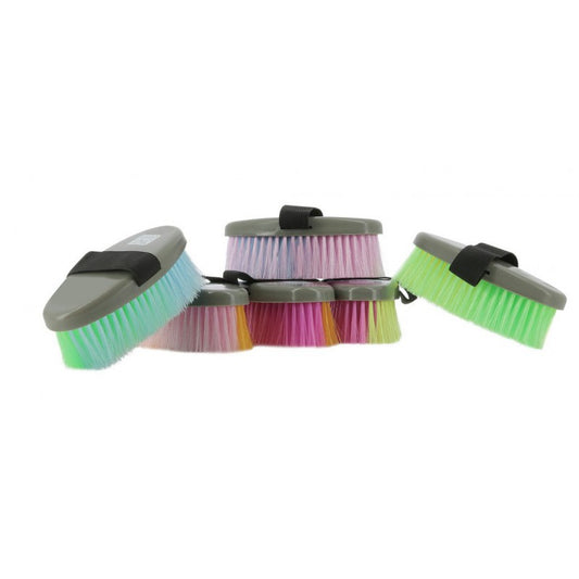 Brosse multicolore HIPPOTONIC