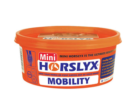 HORSLYX MOBILITY