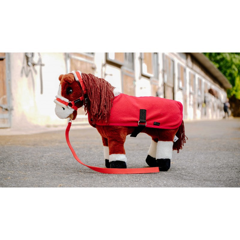 Mini couverture - PONY ACADEMY