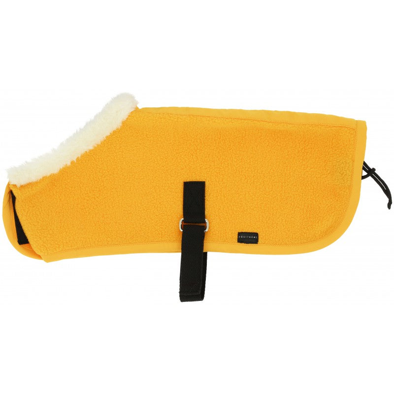 Mini couverture - PONY ACADEMY