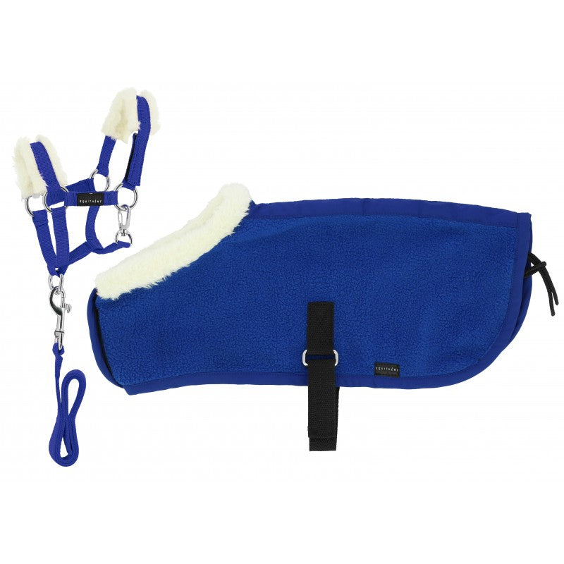 Set mini licol et couverture - PONY ACADEMY