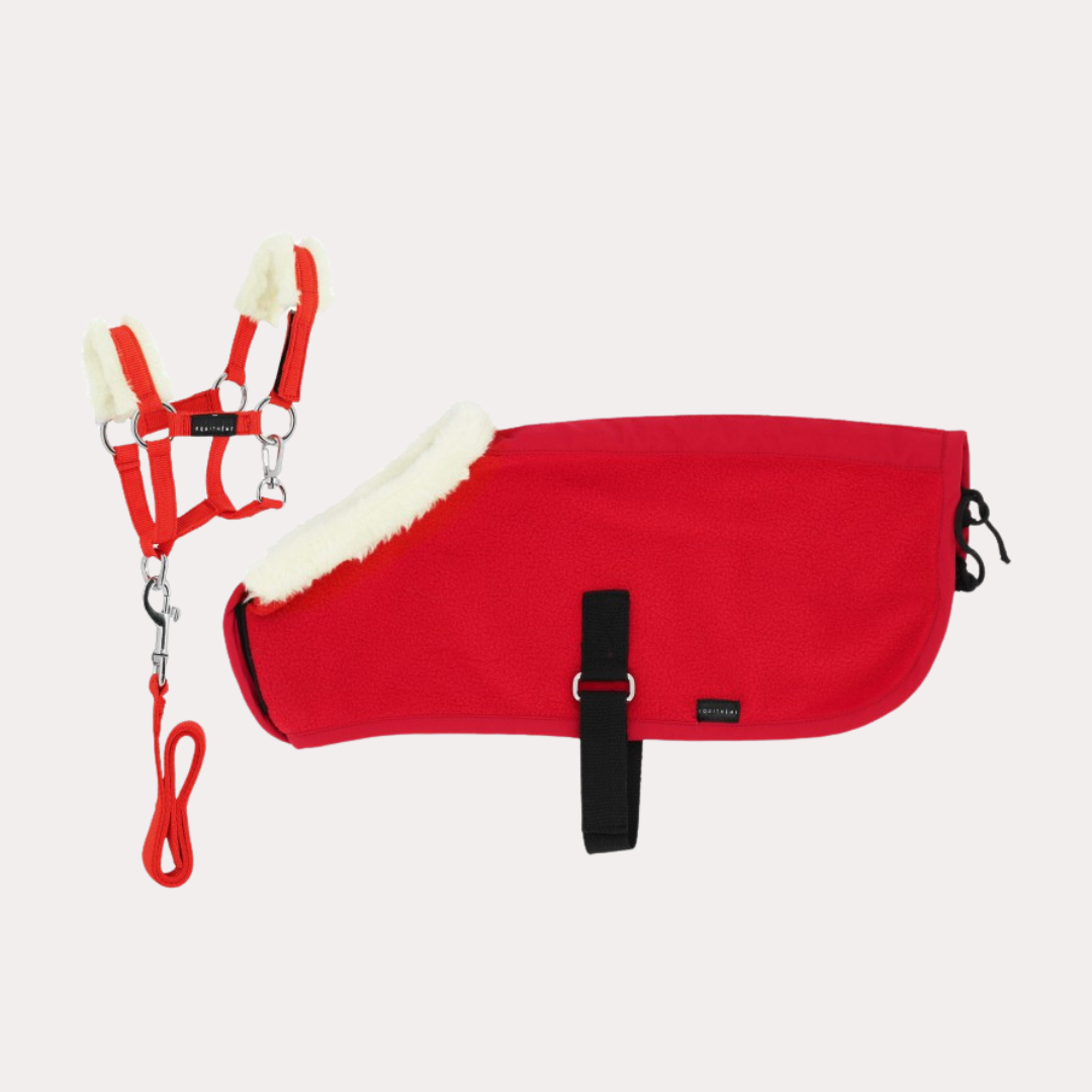 Set mini licol et couverture - PONY ACADEMY