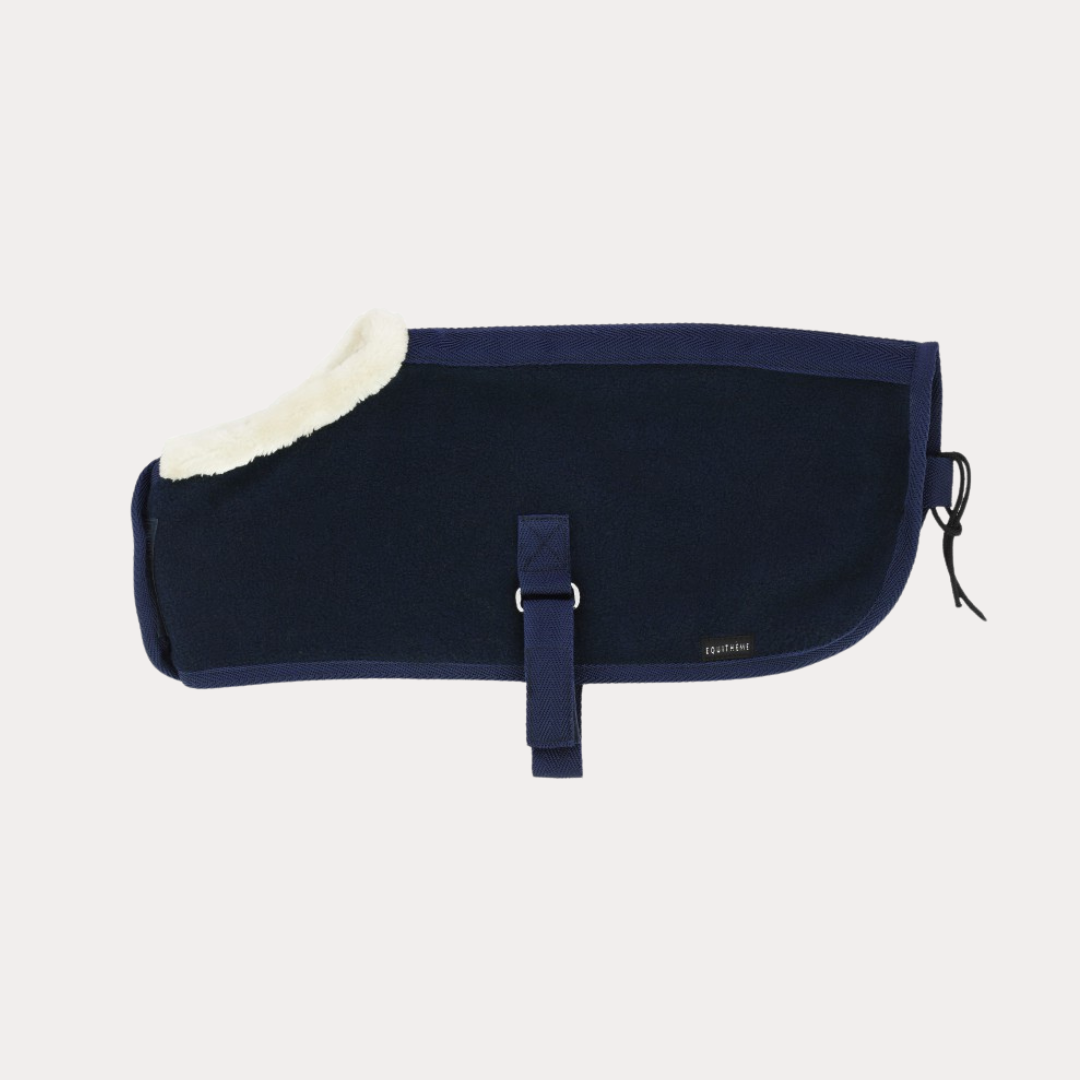 Mini couverture - PONY ACADEMY