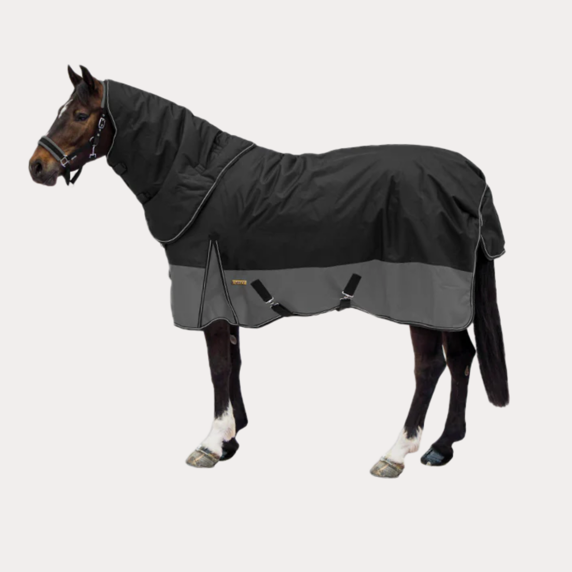 Couverture cheval (Gebraucht) in Muriaux für CHF 1 - mit Lieferung auf Couverture cheval (Gebraucht) in Muriaux für CHF 1 - mit Lieferung auf