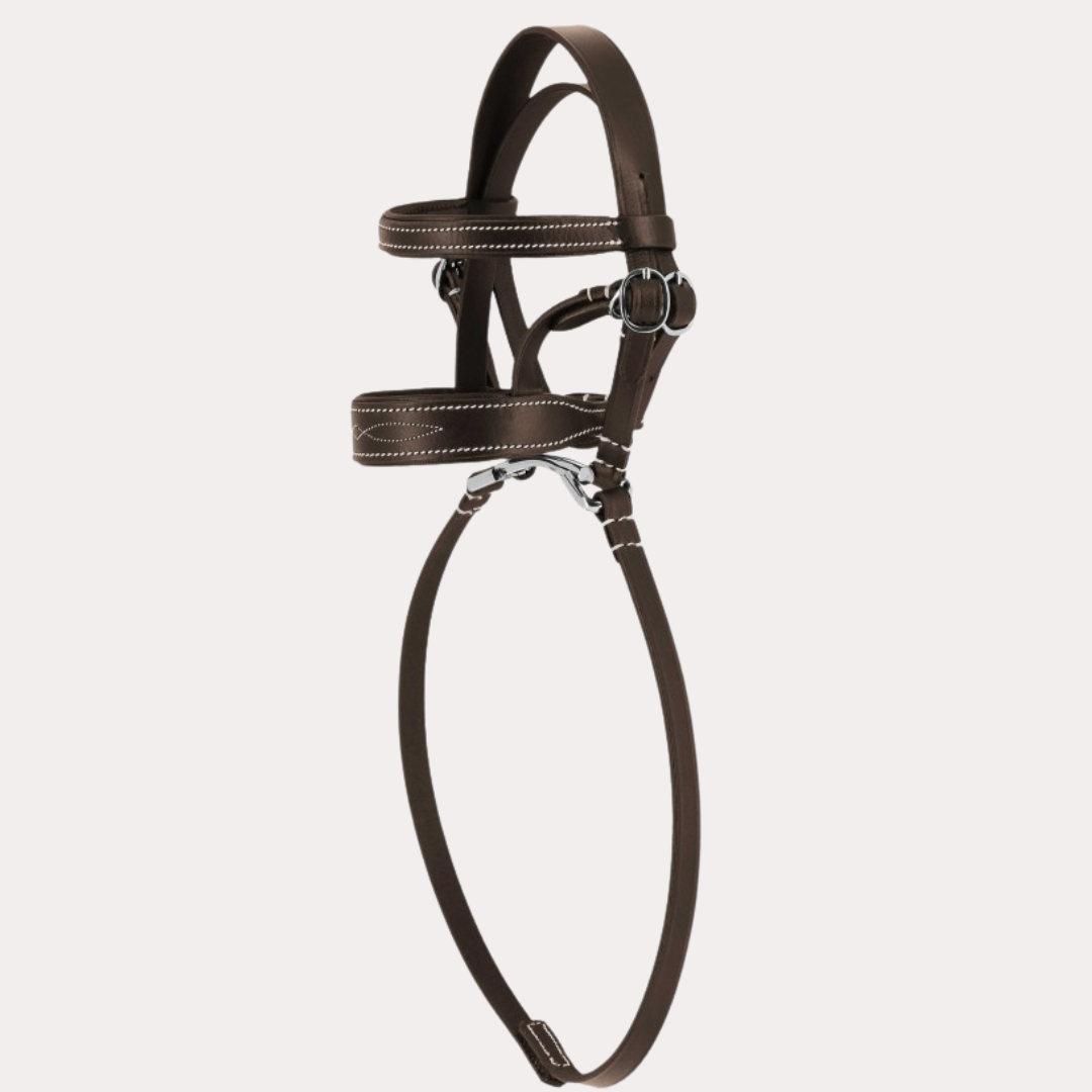 Mini-bridon - PONY ACADEMY