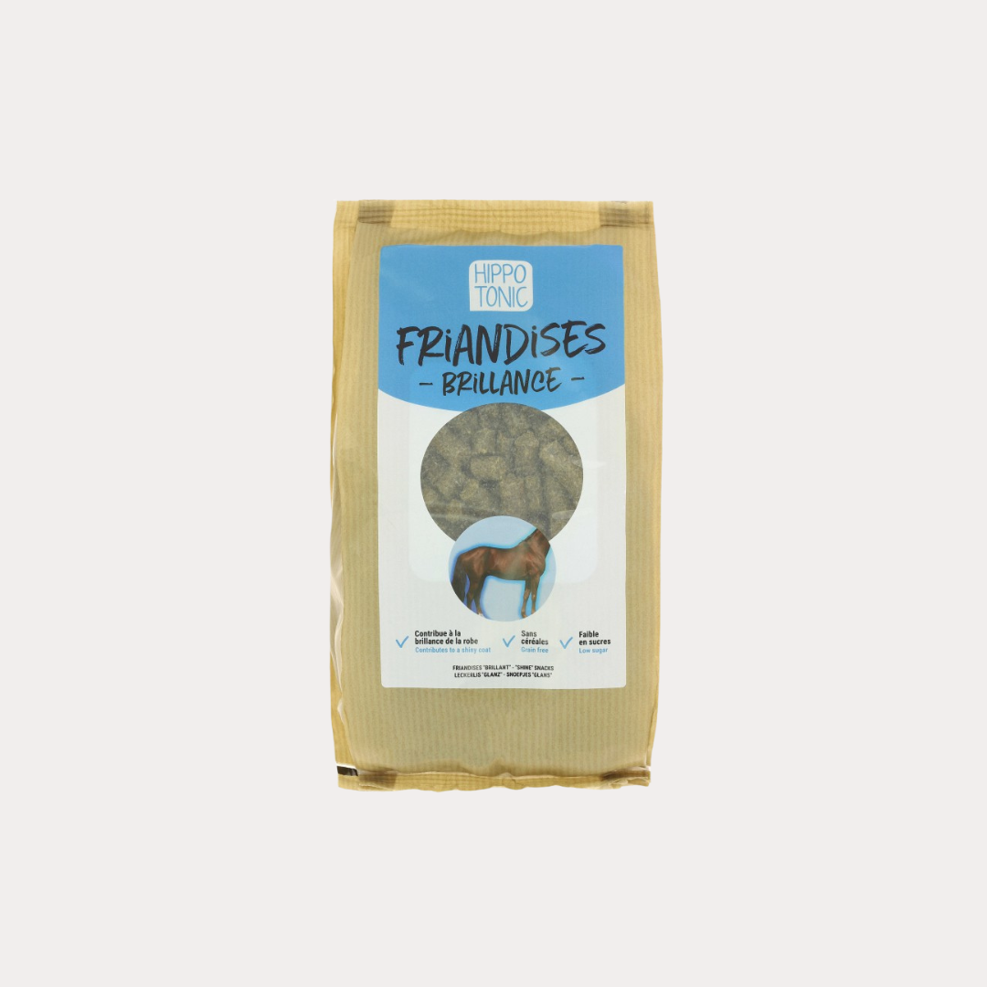 Friandises Brillance - HIPPOTONIC