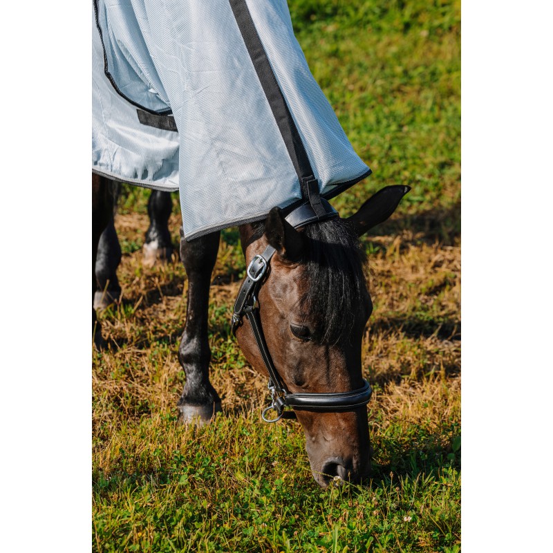 Chemise Belly Mesh Combo - RIDING WORLD