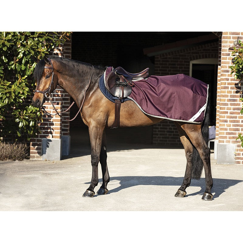 Couvre-reins Amigo Competition Ripstop - Horseware