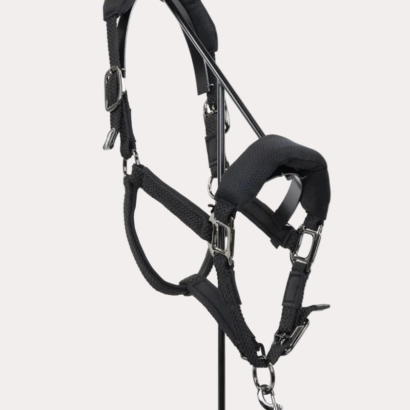 Dorai Set Licol Ergonomique En Mesh Et Longe - PRO CONFORT