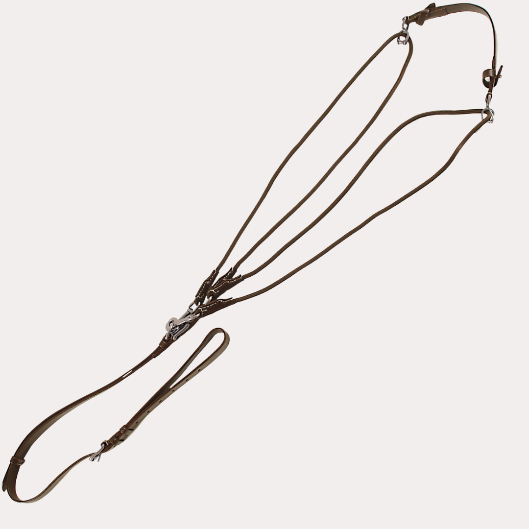 Gogue Standard - CANTER