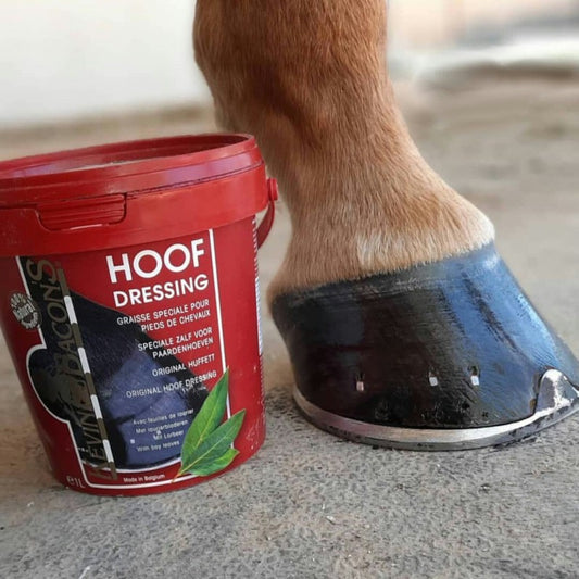 Graisse pour sabots HOOF DRESING Originale - KEVIN BACON'S 1L