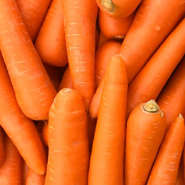 Carottes (sacs de 10kg) Click and collect