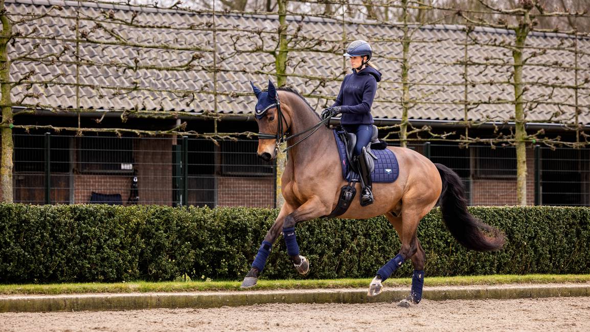 Tapis de selle dressage LOIRE Navy - LeMieux