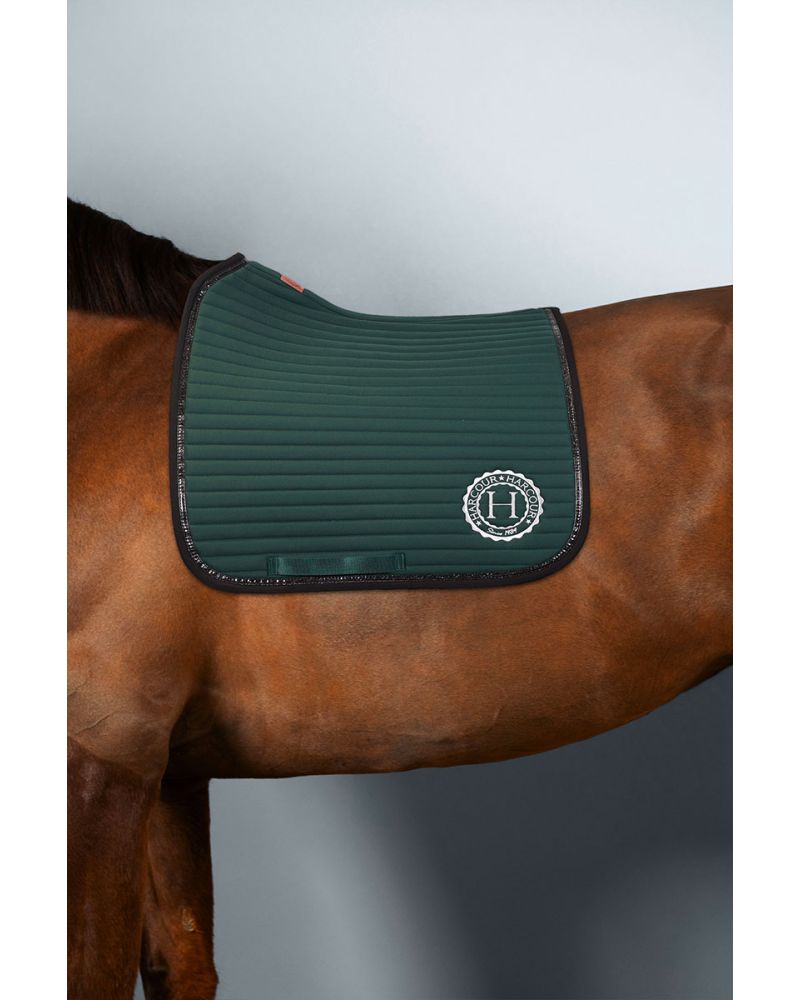 Karembar Tapis De Selle obstacle - HARCOUR
