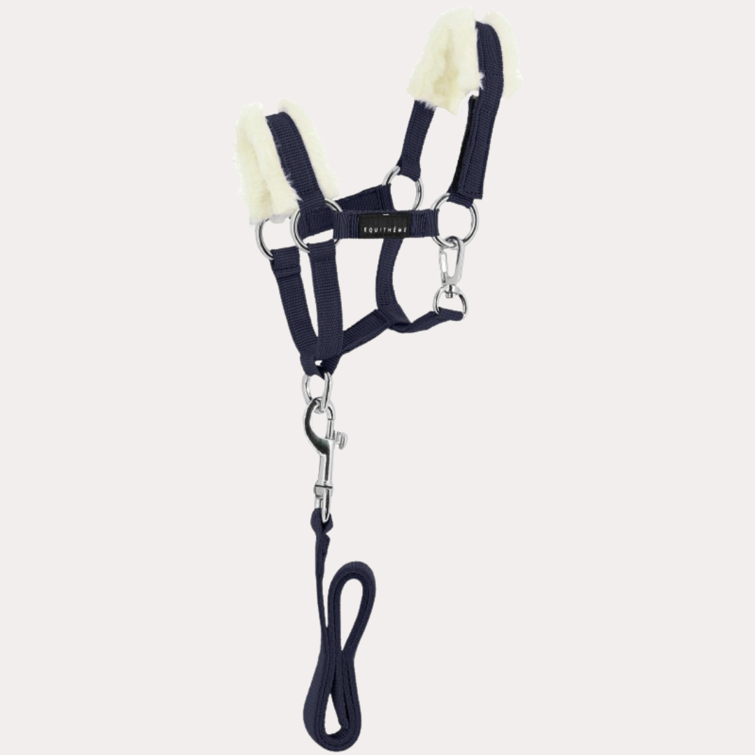 Mini-licol+longe - PONY ACADEMY