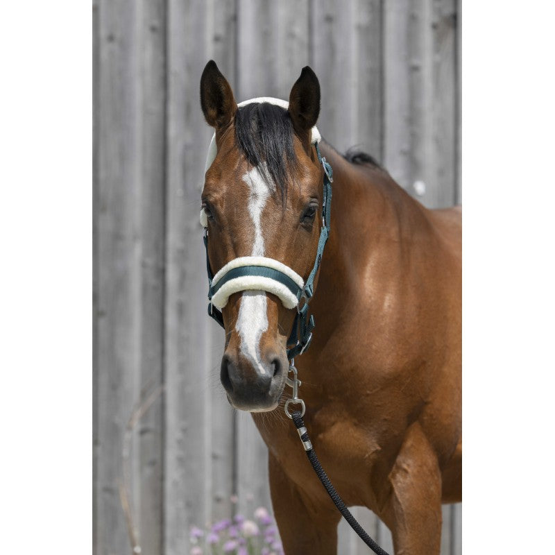 Licol mouton synthétique -  RIDING WORLD
