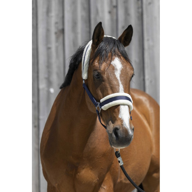 Licol mouton synthétique -  RIDING WORLD