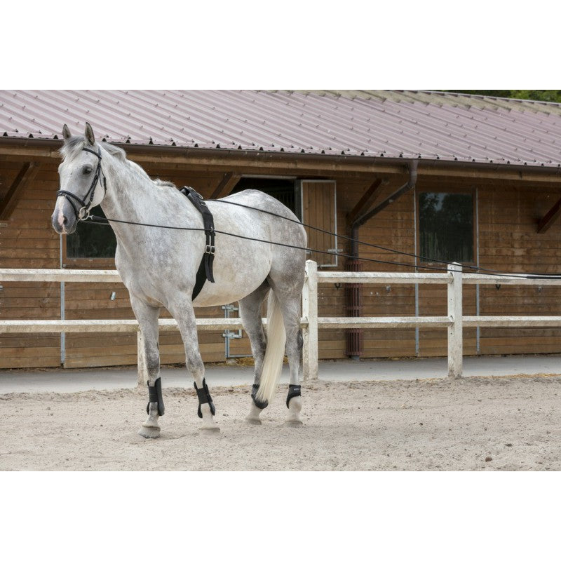 Longues rênes - Riding world