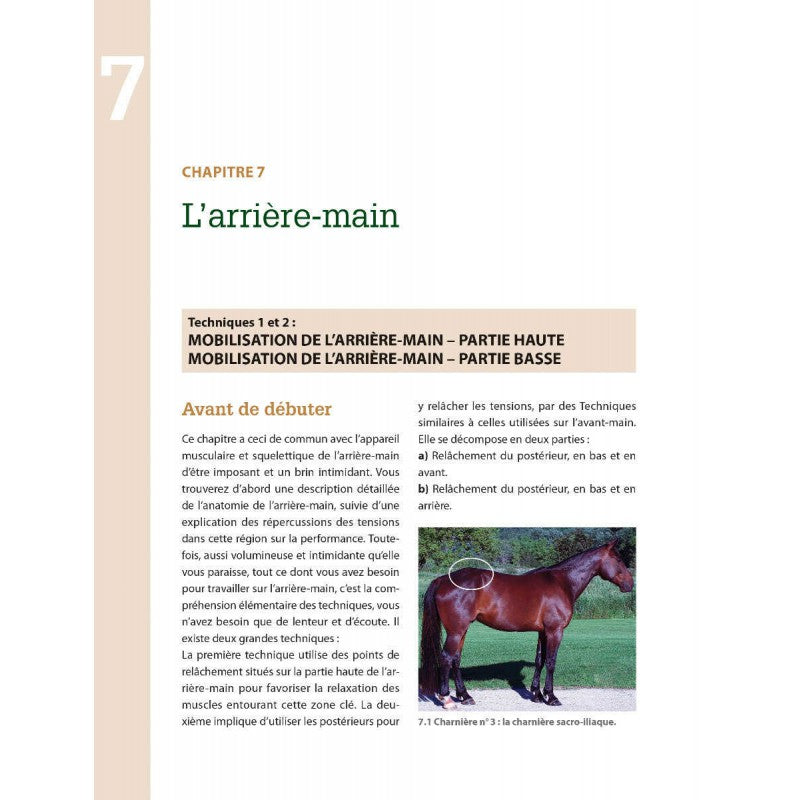 Masser son cheval 2ème édition - Edition VIGOT