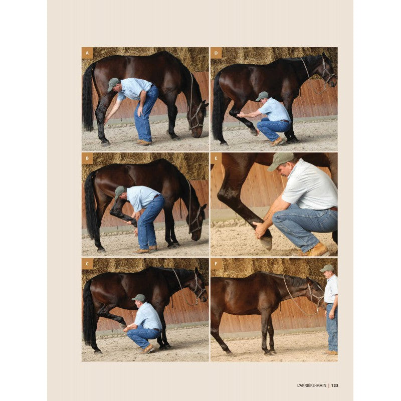 Masser son cheval 2ème édition - Edition VIGOT