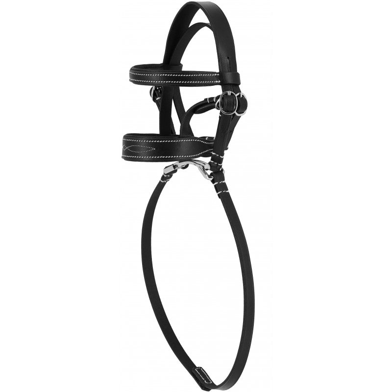 Mini-bridon - PONY ACADEMY