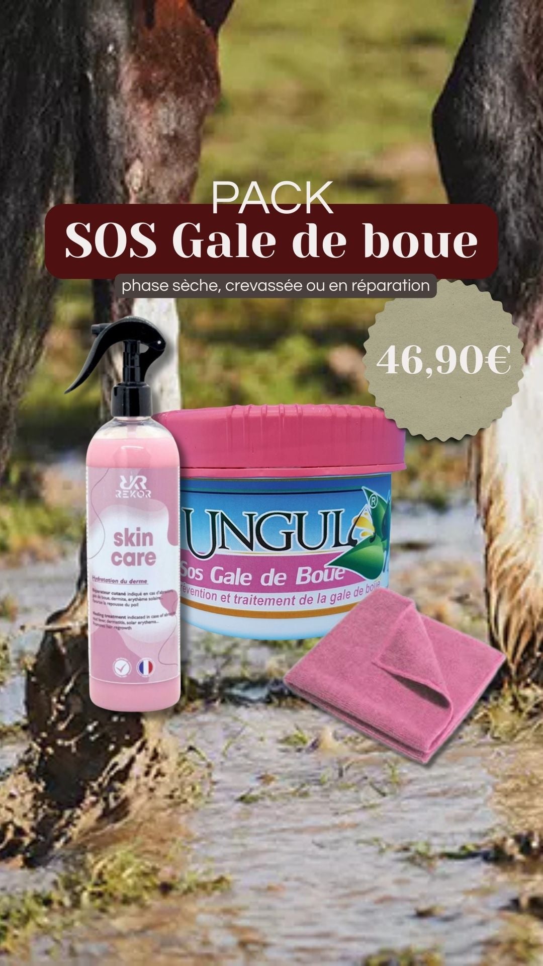 Pack Sos gale de boue (phase sèche, crevassée ou en réparation)
