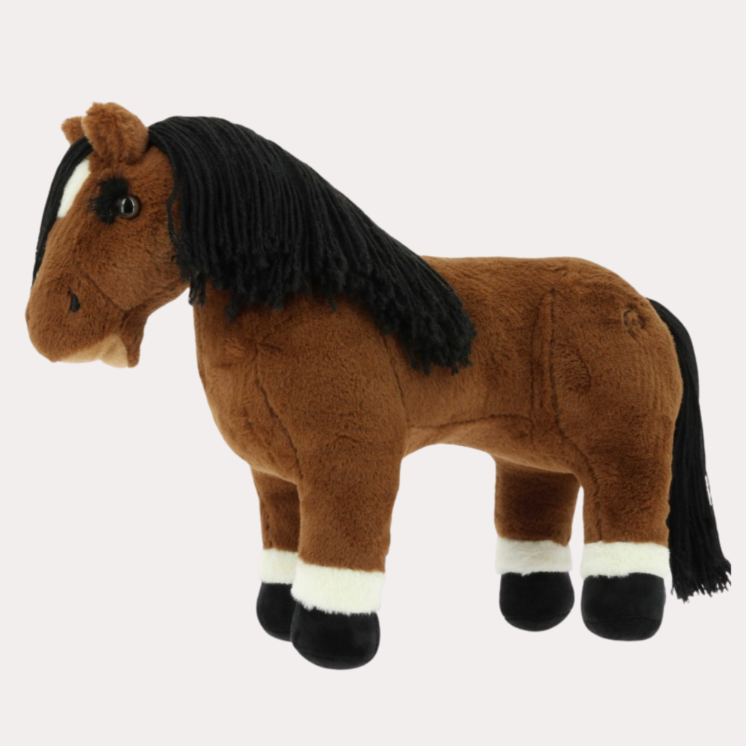 Mini-poney - PONY ACADEMY