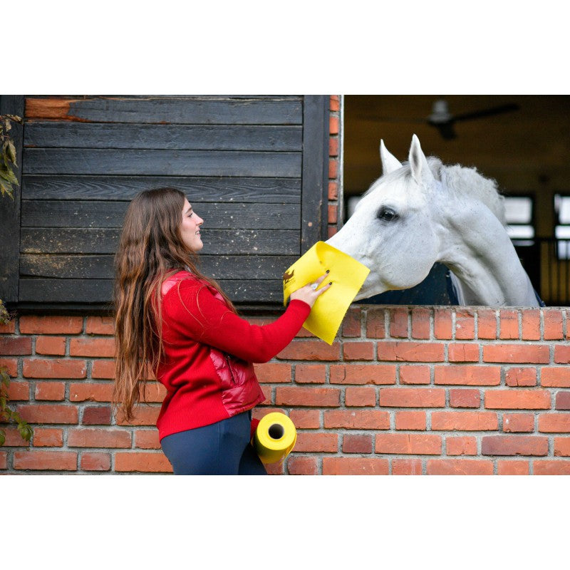 Rouleau chiffon de nettoyage - HORSEWIPE