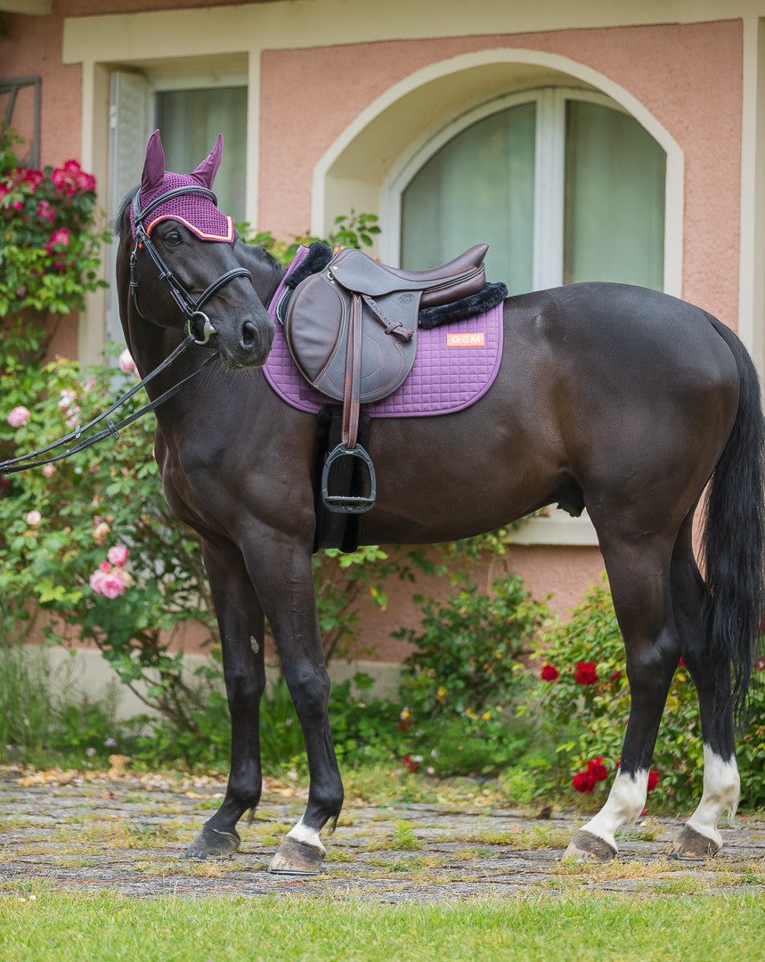 Tapis LEO Prune - GEM